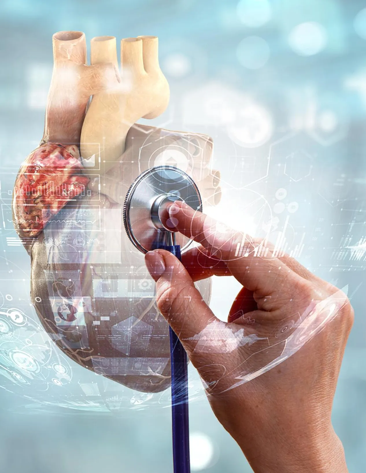 Cardiology